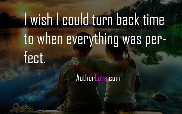 I wish I could turn back time to when everything was perfect.
