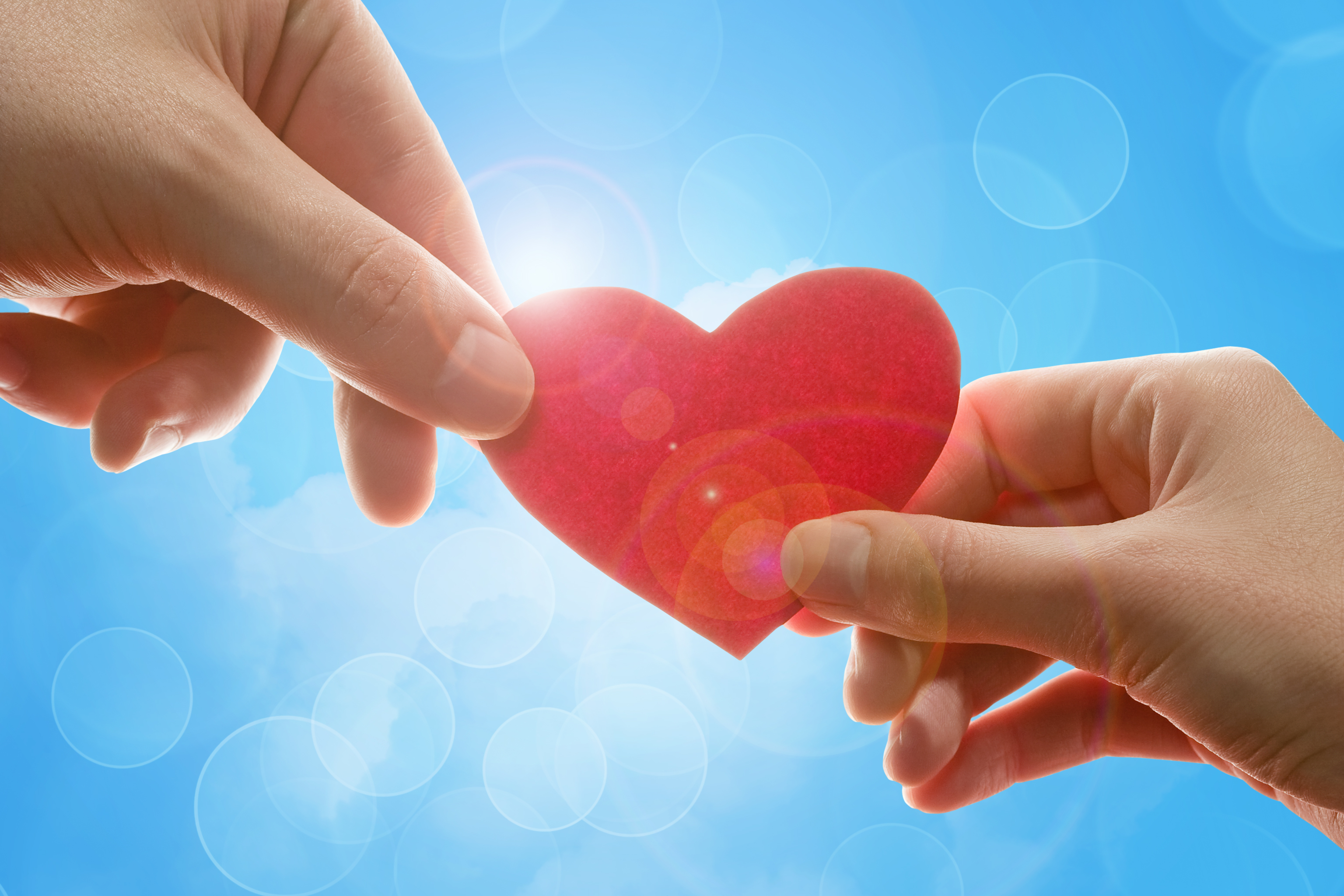 Female and man's hands with red heart